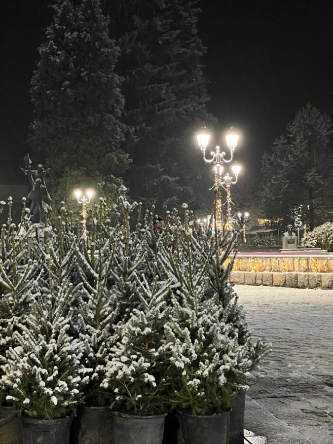 Laf Guest House Kolašin Eksteriør bilde